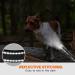 Taglory Adjustable Reflective Dog Collar for Small Dogs - Soft Padded Neoprene Nylon Ideal for Training Black (1 Pack) - Buy Online on GoSupps.com