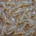 Zetpo 80 pcs Medium Clear Cat Nail Caps with Adhesives and Applicators - Buy Online on GoSupps.com