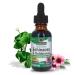 Nature's Answer Echinacea & Goldenseal Liquid Extract Drops Alcohol Free 1 Ounce | Promotes Overall Wellness | Natural Immune Booster | Inflammatory Reducer