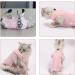 Fychuo Cat Recovery Suit Pink Cat Surgery Recovery Suit Solid Color Cat Clothe Cat Onesie Surgical Recovery Suit Kitten Bodysuit after Surgery Medical Care Cone Collar Alternatives - Buy Online on GoSupps.com