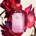 Chopard Happy Felicia Roses For Women - Enchanting Feminine Floral Fruity Scent For Her - Uplifting Blend Of Berries Pink Grapefruit And Fresh Spices - Long-Lasting Eau De Parfum - 3.4 Oz 3.4 Ounce (Pack of 1) - Buy Online on GoSupps.com