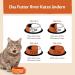 Wellness Core Adult Ocean Cat Food - High Meat Content Grain-Free Salmon & Tuna for Healthy Skin & Shiny Fur - 300g Pack - Buy Online on GoSupps.com
