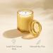 La Jolie Muse Sandalwood & Patchouli Scented Candle - Luxury Glass Jar Candle Gift for Home Decor - 80 Hours Long Burning - 12.3oz - Buy Online on GoSupps.com