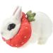 Buy Fladorepet Rabbit Protection Cone Elizabethan Neck Collars & Hasentoast Avocado Costume for Small Pets - Perfect for Recovery & Fun! - Buy Online on GoSupps.com