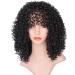 Buy Afro Wig for Women - Curly Long Hair | Party & Cosplay 50s 60s 70s 80s | International Shipping - Buy Online on GoSupps.com