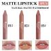 3 Colors Rotating Crayon Lipstick Set - Long Lasting Matte Waterproof Lipstick Set for Women (Set-A) - Buy Online on GoSupps.com