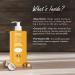 Vasu Naturals Shea Butter Care Body Lotion | Ultra Nourishing Pro-Vitamin B5 | 12.32 fl oz | International Shipping Available - Buy Online on GoSupps.com