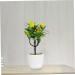 Zerodeko 2pcs Faux Lemon Potted Plant Mini Greenery Faux Plants Indoor Artificial Fruit Tree Bonsai Summer Flower Decor Ornament Office Lemon Tree Decors Plastic Desktop Decorations Yellow 11x6.5x26cm - Buy Online on GoSupps.com