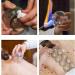Vejia Cupping Therapy Set - 12 Thick Glass Massage Cups for Professionals | Chinese Cupping Therapy - Buy Online on GoSupps.com