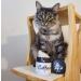 Pettobox Catbuzz Premium Organic Catnip | Freshly Grown by US Family Farmers | All-Natural, Eco-Friendly & Sustainable - Buy Online on GoSupps.com