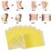 Losing Weight Patches - 100 Pcs Detox Fat Burn Slimming Magnet Stick for Effective Weight Loss - Buy Online on GoSupps.com