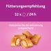 Whiskas Crunchy Pockets Cat Snack with Salmon - 8x60g - International Shipping Available - Buy Online on GoSupps.com