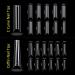 XXL Extra Long Nail Tips 2 Styles | C Curve Tapered Square & Straight | 220 PCS for Nail Salons & DIY Nail Art - Buy Online on GoSupps.com