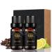 Aromatherapy Lemon Essential Oil Set for Diffuser 100% Pure Clove Essential Oil Fragrance Set for Humidifier 2x10ml 100% Pure Lemon Essential Oils Aromatherapy Clove Oils Set for Air Freshener