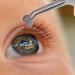 iplusmile Stainless Steel Meibomian Gland Expressor Forceps - Eyelid Massage Tweezers - Buy Online on GoSupps.com