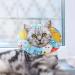 Kitchen-Dream Soft Cat Collar - Cute Anti-Bite Neckband for Pets | Wound Healing Collar in Blue - Buy Online on GoSupps.com