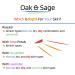 OAK & SAGE Unscented Homeopathic Face & Body Moisturizer with Rose Petals - 100% Natural Herbs - 8oz for All Skin Types | Chemical & Alcohol Free - Buy Online on GoSupps.com