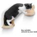 Wall Mounted Cat Hammock Shelf with Solid Rubber Wood Steps - Hanging Perches for Sleeping, Playing, and Climbing - Buy Online on GoSupps.com