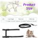 Morices 2 Pack Cat Harness and Leash Adjustable Comfortable Nylon Pet Strap Collar with Leash Escape Proof Safety Rope Leads Chest Strap for Kitten Puppy Rabbits Walking Training (Pink & Purple) Pink+Purple - Buy Online on GoSupps.com