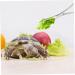 Levemolo Reptile Feeding Clip Lizard Stuff Aquarium Pipette Snake Tong Silver Stainless Steel - Buy Online on GoSupps.com