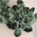 Natural Crystal Rough Crystal 750-850g 1pc Natural Green Phantom Quartz Crystal Cluster Gemstone Geode Adornment Suitable for Home Office Decoration - Buy Online on GoSupps.com