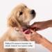 Whistle GO/GO Explore/Twist & Go Pet Collar M - Neck 16-20, Strap width 1, See Me Green - Buy Online on GoSupps.com