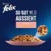 FELIX As Good As It Looks Wet Cat Food in Jelly with Salmon - 26 Pack (26 x 85g) | Premium Quality Cat Food | 2.21 kg - Buy Online on GoSupps.com