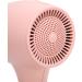 Kids Hair Dryer with Negative Ionic Constant Temperature Hair Care Adjustable Alternating Wind Mini Portable Hair Dryer for Daily Use Suitable for Sensitive Hair and Skin (US US Plug 110V - Buy Online on GoSupps.com