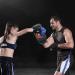 Flexzion Blue Curved Muay Thai Kick Pad for MMA, Karate, Taekwondo - Adjustable Forearm Strap - Buy Online on GoSupps.com