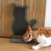 Ibluelover Cat Brush - Corner Grooming & Massage Brush for Long-Haired & Short-Haired Cats | Wall-Mounted Cat Scratchboard & Play Toy - Buy Online on GoSupps.com