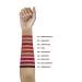 L'Or al Paris Rouge Signature Empowered Lip Color - Long-Lasting Lightweight Matte Finish (8.5ml) - 138 Assured - 1 Piece - Buy Online on GoSupps.com