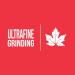 Pure Organic Maple Sugar (175gr) Canadian Made | Pure Natural Organic Tristan Foods (Grind - Ultrafine) 175 g (Pack of 1) - Buy Online on GoSupps.com