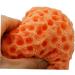 minkissy Baby Sponge for Bathing Body Wash Sponge Shower Loufa Sponge Natural Loofah Sponge Shower Loufah Sponge Dove Body Wash Dove Shower Gel Dish Bath Sponge Sponge Bath Soap Face - Buy Online on GoSupps.com