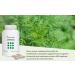 Artemisia Vulgaris - 150 Vegetable Capsules - 100% Pure Artemisia - Made in France Le Pr Vert - Buy Online on GoSupps.com