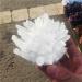Natural Crystal Cluster Specimen Ore Quartz Stone Raw Crystals Home Gift ZJGIDTEM (Size : 300-400g) - Buy Online on GoSupps.com