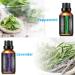 URPOWER 6 Aromatherapy Essential Oils Diffuser Gift Set - Lavender, Peppermint, Sweet Orange, Eucalyptus, Tea Tree, Lemongrass - 100% Pure Oils - 10ml Each - Buy Online on GoSupps.com