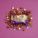 Bounce Dipped Chocolate Hazelnut Praline Protein Ball 40g x 20 Packs - Buy Online on GoSupps.com