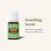 KidScents TummyGize Essential Oil Blend by Young Living - 5 ml - Calming & Relaxing - Buy Online on GoSupps.com