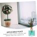 Alipis Dried Flowers for Aromatherapy | Essential Oil Air Freshener & Home Decor | Eco-Friendly Rattan Diffuser - Green 8x5.5cm - Buy Online on GoSupps.com