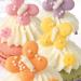G nthart BackDecor 12 Pastel Sugar Butterflies for Spring Cake Decoration - 1 Pack (10g) - International Shipping Available - Buy Online on GoSupps.com