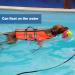 Vivifying 20FT Floating Long Dog Lead for Outdoor Training - 6m Black - Buy Online on GoSupps.com