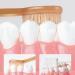 2-Pack Silicone Toothbrush Set for Babies 0-18 Months | Soft Bristles & Tongue Cleaner | Gentle Dental Care - Buy Online on GoSupps.com