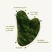Premium Dark Green Jade Gua Sha Facial Tool - Upgraded Guasha Stone for Face - Buy Online on GoSupps.com