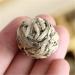 Th Pu'er chinois Th Puer brut Th vert Aiguille d'argent Perle faite la main Th blanc Vieil arbre Th Pu-Erh Soins de sant Th Pu-Er Th Puerh sain Nourriture verte (8PCS) - Buy Online on GoSupps.com