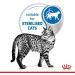 Royal Canin Indoor Sterilised in Soet | Double Pack | 2 x 12 x 85 g | Complete Food for Adult Cats Living Indoors - Buy Online on GoSupps.com