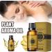 3 Pieces Abdominal Drainage Ginger Oil - Natural Lymphatic Massage Oil for Blood Circulation & Relaxation (10ml) - Buy Online on GoSupps.com