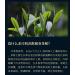 Pu-erh tea 2021 SHENG JIA YUAN 200 357g Raw - Buy Online on GoSupps.com