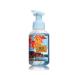 Bath and Body Works Gentle Foaming Hand Soap Crisp Morning Air