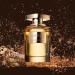 Al Haramain Portfolio Royale Stallion - Cologne for Men - Long Lasting Perfume for Men - Arabian Perfume for Men - Men's Cologne - 2.5 oz - Buy Online on GoSupps.com
