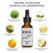 Men's Beard Oil - Classic Conditioning & Moisturizing | Four Scents for Healthy Beard Growth | 1 Fl Oz - Buy Online on GoSupps.com